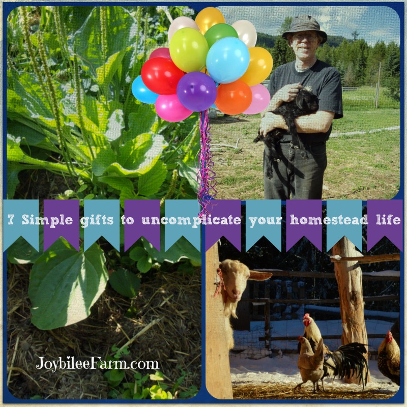7 Simple gifts to uncomplicate your homestead life -- Part 1 of 2