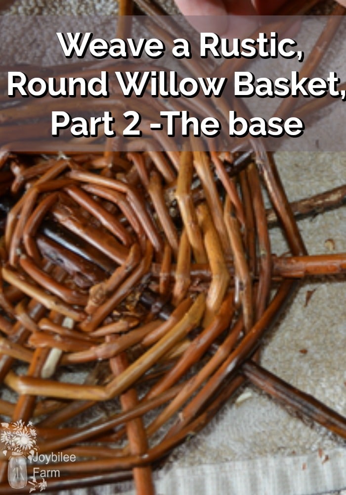 Willow basket making in progress - base stage