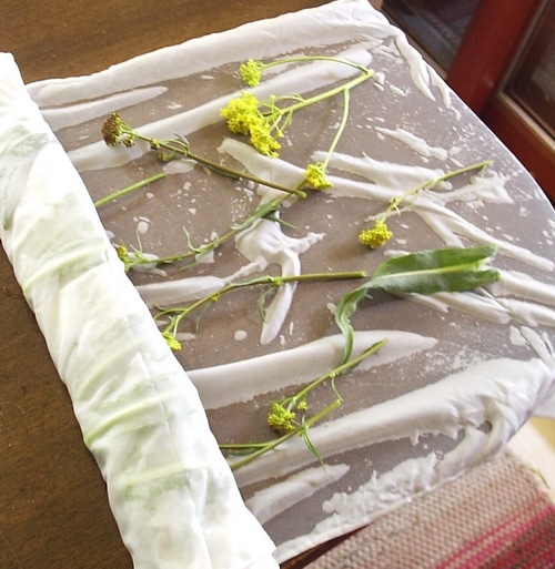 Direct Contact Dye woad leaves and flowers