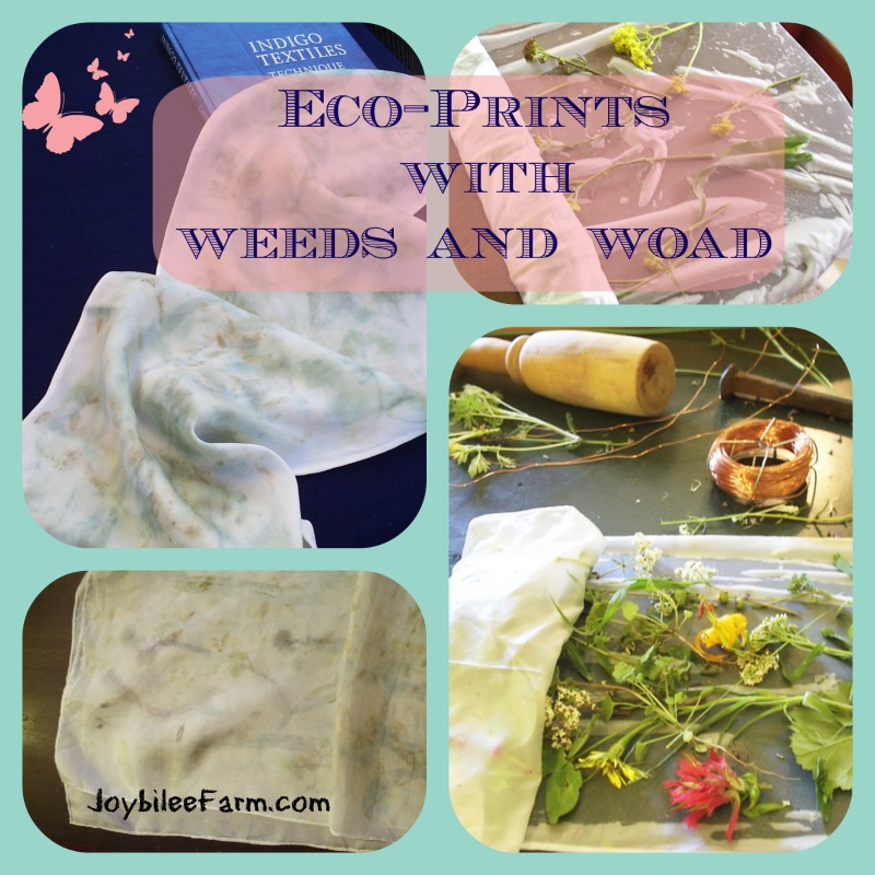Making Eco-prints with woad and weeds