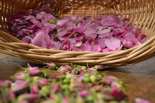 rose petals in a basket