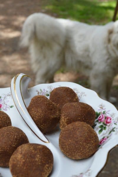 Zoom balls on a decorative plate and a dog in the background