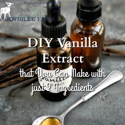 DIY Vanilla Extract Made with Just 2 Ingredients