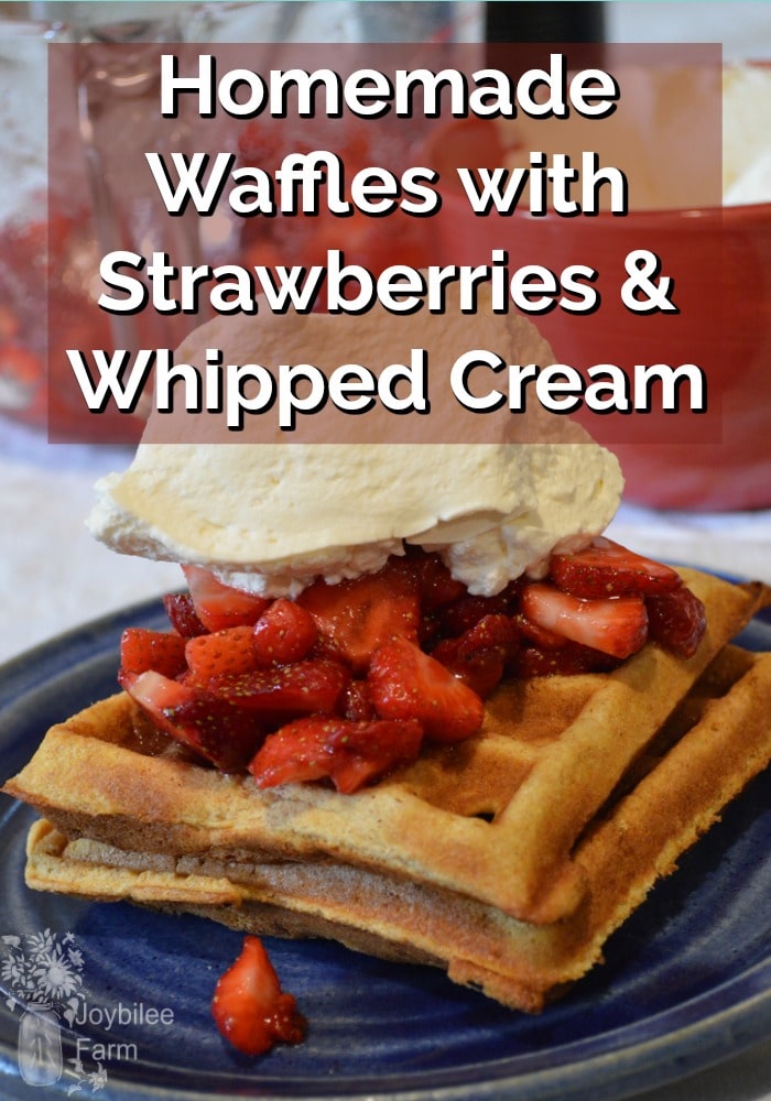 Waffles with strawberries and whipped cream on top