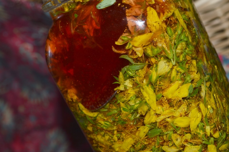 St Johns Wort pink in the bottle