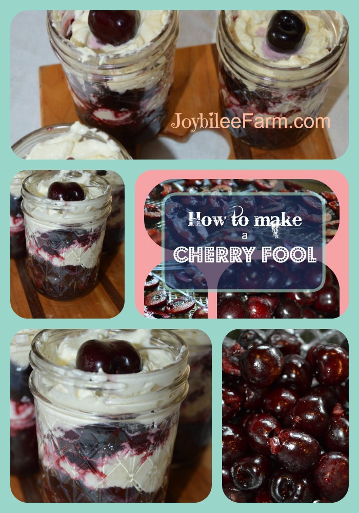 Photo collage of cherry fool dessert - fresh cherries, and cherry fool dessert in decorative mason jars
