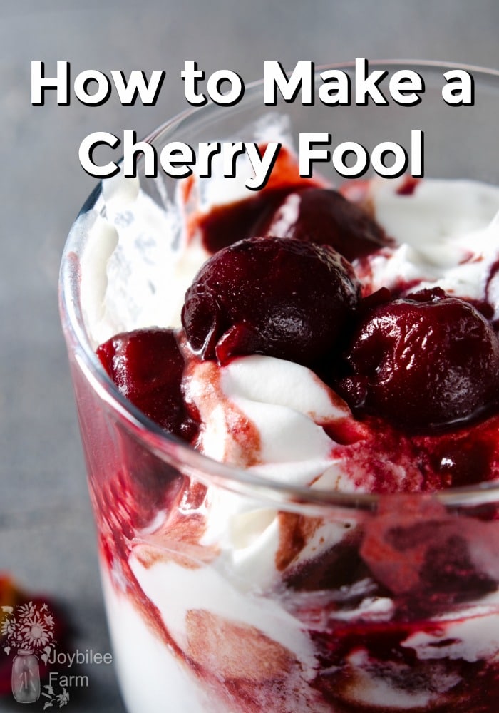 Close up of a cherry fool dessert