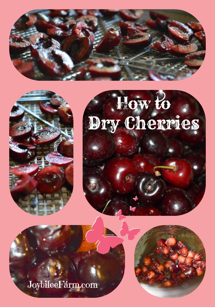 Photo collage of cherries - fresh, sliced and dehydrated