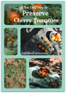 Photo collage of cherry tomatoes
