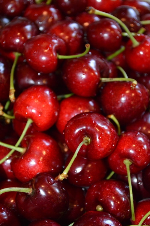 A close up of ripe cherries