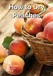 How to Dry Peaches - Joybilee® Farm | DIY | Herbs | Gardening