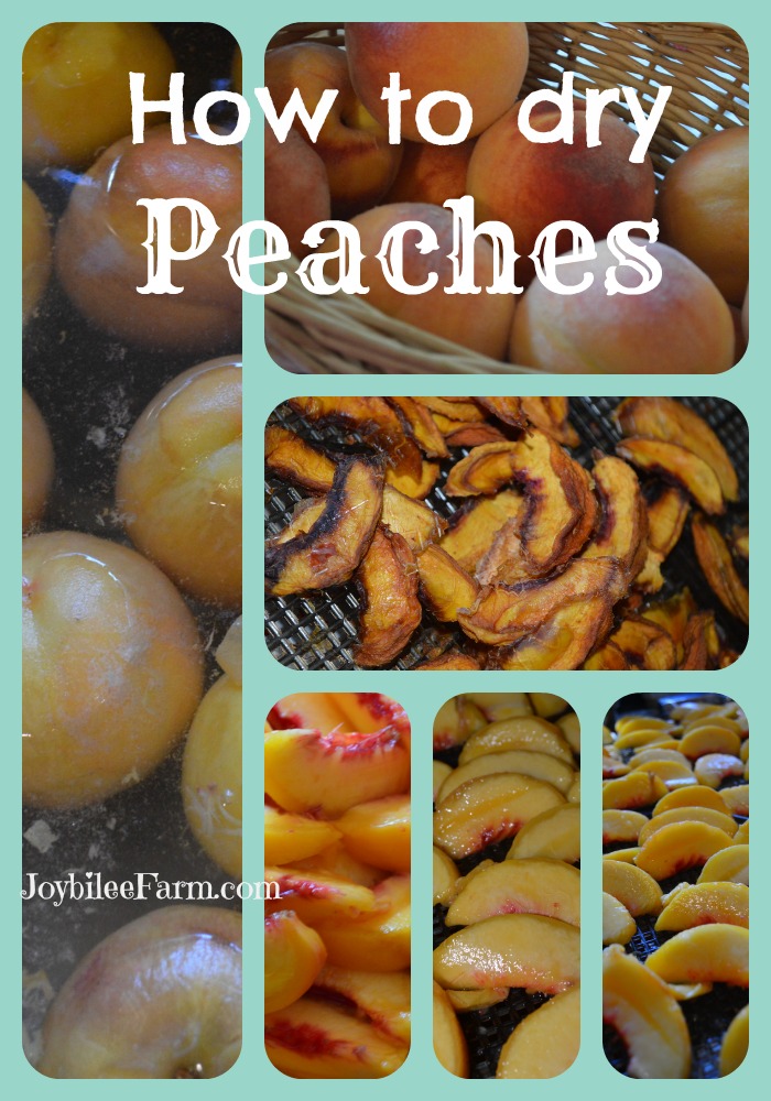 Photo collage of peaches - whole, sliced, dehydrated.