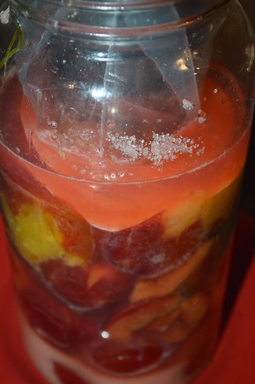 plum ferment