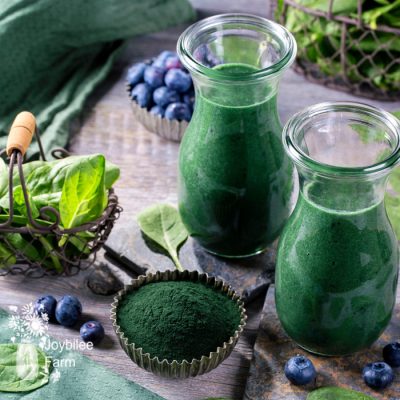 DIY Greens Supplement Powder for Smoothies