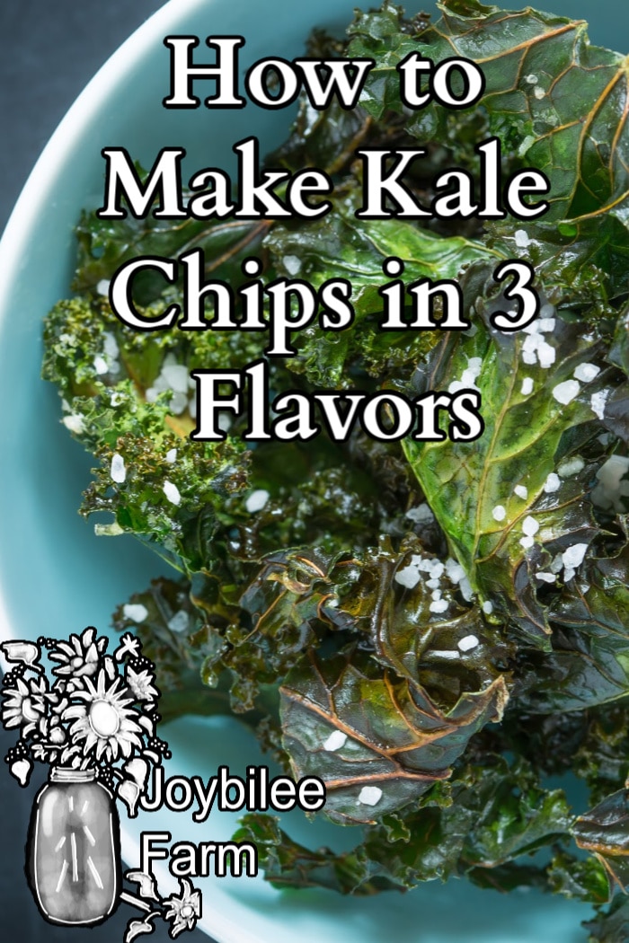 kale chips in a blue bowl