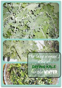 Photo collage of drying kale