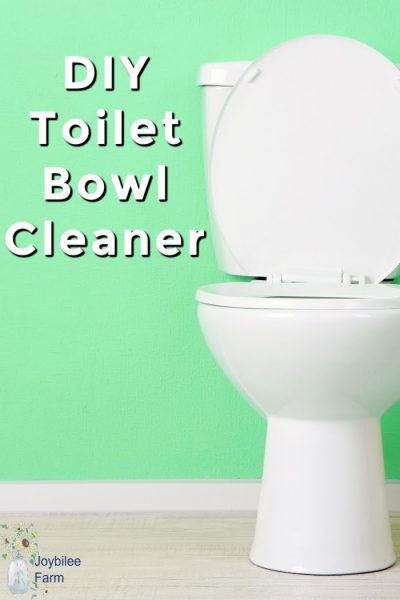 DiY Toilet Bowl Cleaner