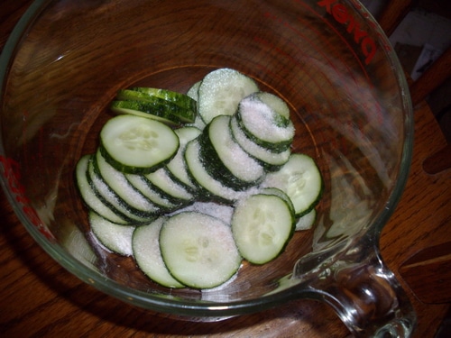 pickles 1
