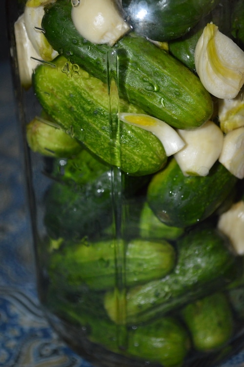 pickles 2b