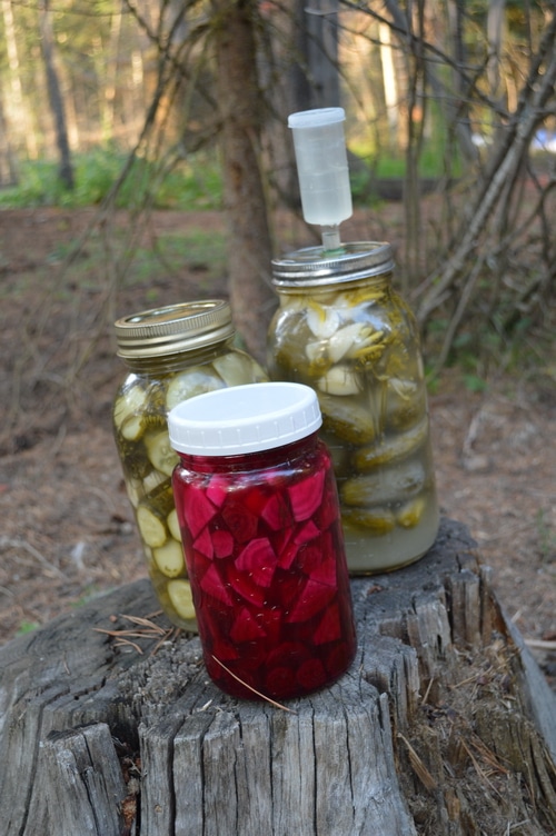 How to make pickles -- Joybilee Farm