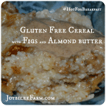 Gluten free cereal with figs and almond butter