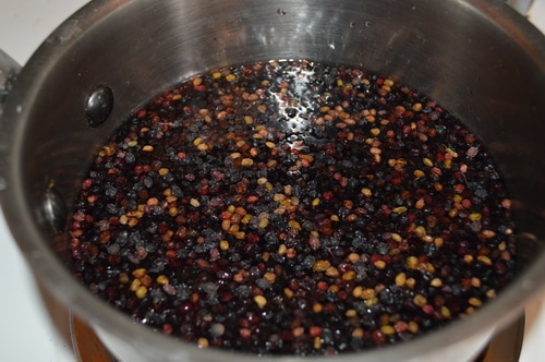 Remedies for the Common Cold -- Elderberry Syrup -- Joybilee Farm