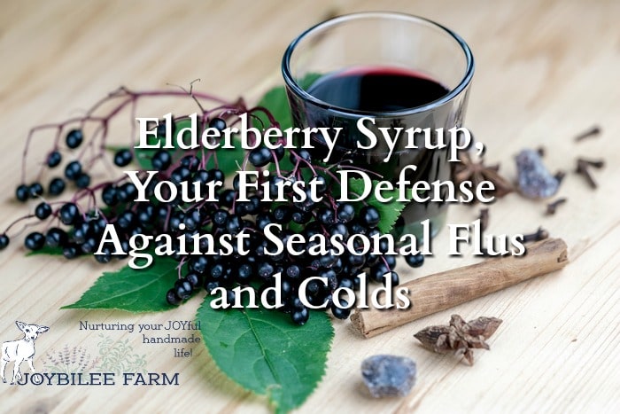 Scientific studies show that elderberry prevents viruses from replicating in the body, shortening the duration of colds or flu. During flu season I use elderberry syrup as a favouring in our water bottles – 1 tsp per cup of water. It’s a tasty, functional food that helps us stay healthy and strong during the season when all those around us are coughing and sniffing.
