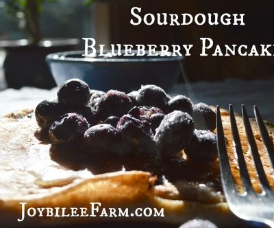 Hearty Sourdough Blueberry Pancakes