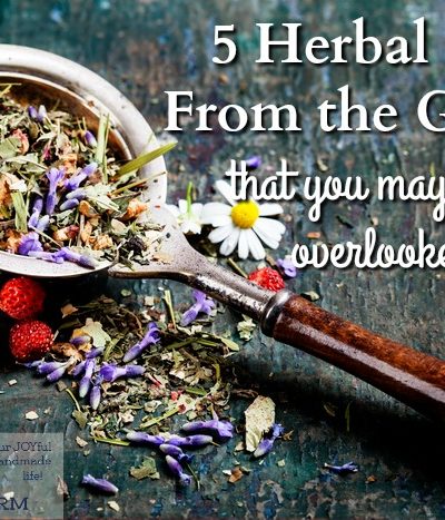 Dried blossoms and fruit for herbal teas on a countertop