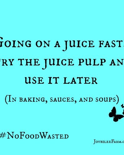 Going on a juice fast? Dry the juice pulp and use it later