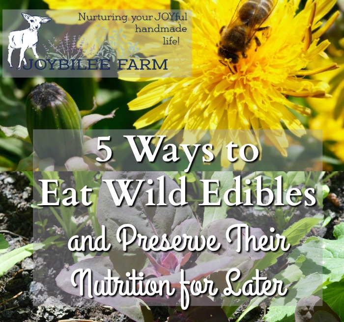 Wild edibles are survivors. Weeds grow deeply into the soil, breaking up hard pan and drawing up vitamins and minerals into their leaves, and flowers. You can tap into those minerals and vitamins while you are tending your garden this summer. Don’t waste wild edibles. Eat them or preserve them for winter. Here’s 5 ways to preserve wild edibles so that you can benefit from their vitamins, protein, and minerals. They are free and abundant all around you.