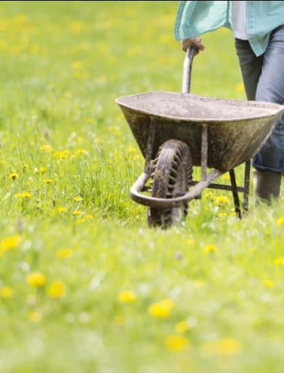 Abundance often breeds waste. Adopt these 20 habits and take steps to make 2020 be a no food wasted year on your homestead.   