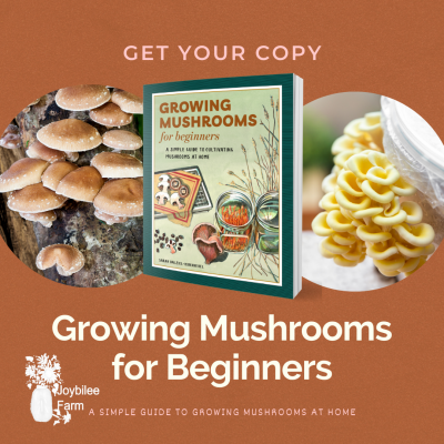 Growing Shiitake Mushrooms on Logs Even If You've Never Done It Before