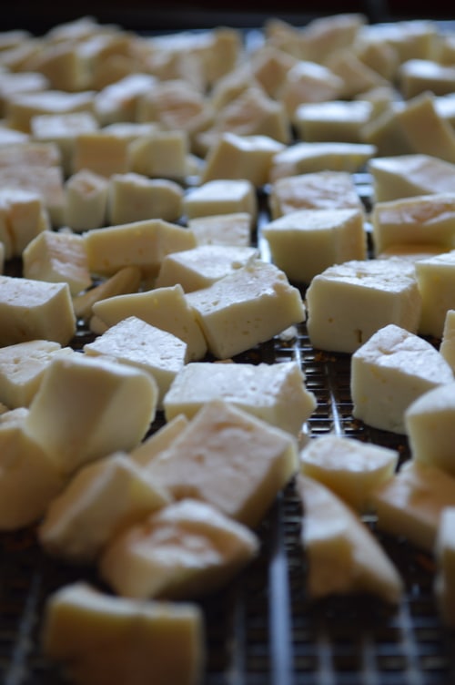 Survival Food: how to dehydrate cheese and how to use it -- Joybilee Farm