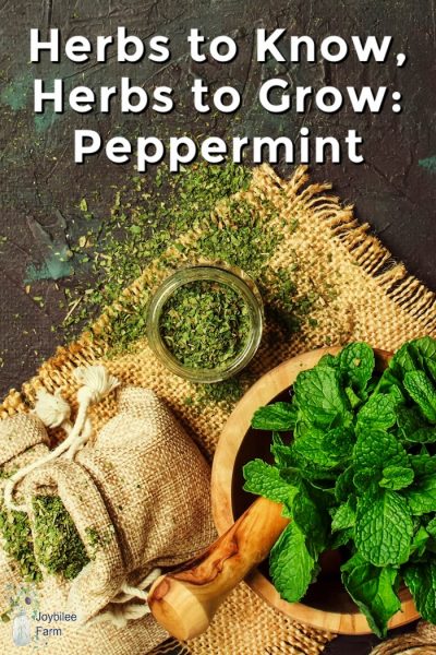 Herbs to Know, Herbs to Grow: Peppermint - Joybilee® Farm | DIY | Herbs ...