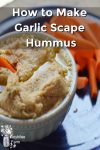 Homemade garlic scape hummus and carrot sticks