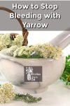 yarrow flowers in a mortar and pestle