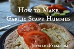 How to Make Hummus: Garlic Scape Hummus – Joybilee Farm