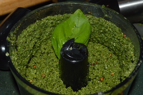 Basil Pesto recipe with garlic scapes and hazelnuts