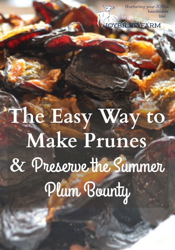 The Easy Way To Make Prunes And Preserve The Summer Plum Bountry Joybilee Farm Diy Herbs Gardening