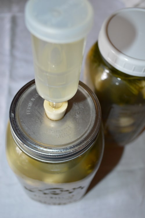 Easier fermented pickles with the right tools -- Joybilee Farm