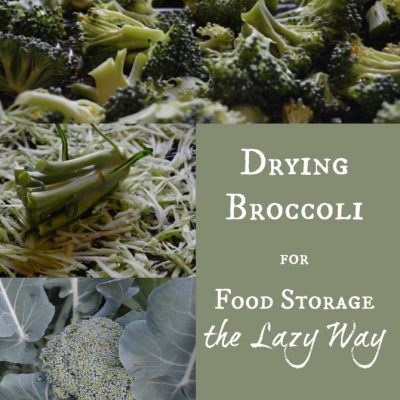 Drying Broccoli for Food Storage the Lazy Way