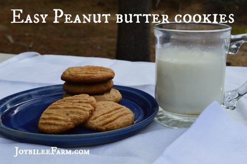 Easy Peanut Butter Cookies -- Joybilee Farm