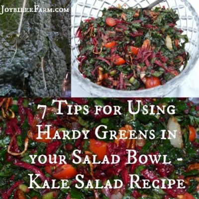 Kale Autumn Salad Recipe