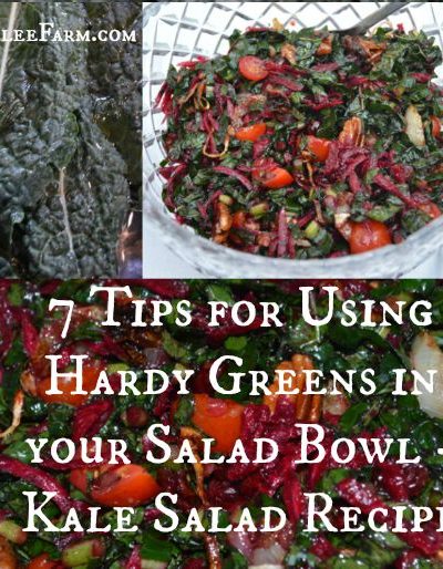 7 Tips for Using Hardy Greens in your Salad Bowl - Kale Salad Recipe -- Joybilee Farm