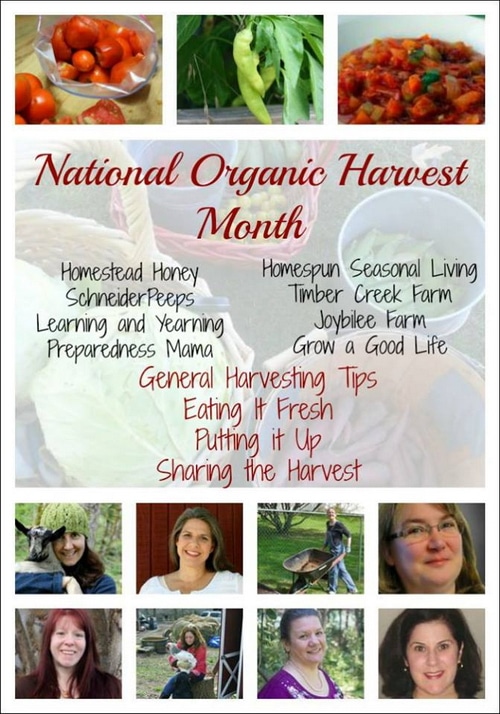 Organic Harvest 15 group