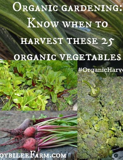 Organic gardening: Know when to harvest these 25 organic vegetables -- Joybilee Farm