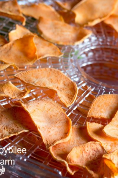 sweet potato chips dehydrating