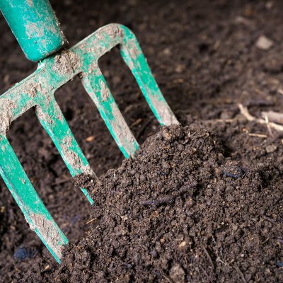 9 Ways to Make More Topsoil Organically
