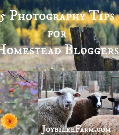 5 Photography Tips for Homestead Bloggers -- Joybilee Farm